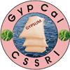 GypCal -Sodic Soil Reclamation