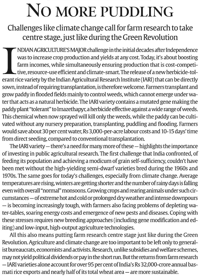 Page 02