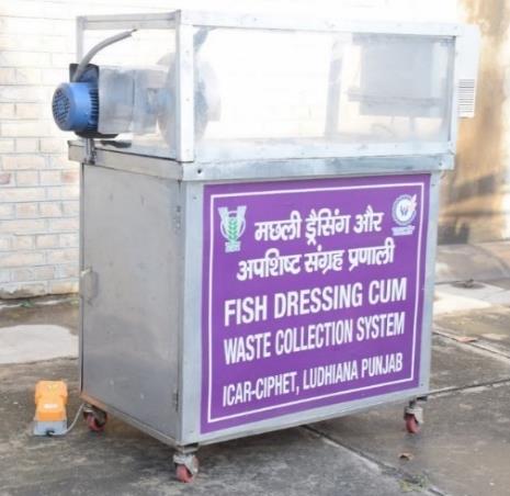 Fish Dressing-cum-Waste Collection System