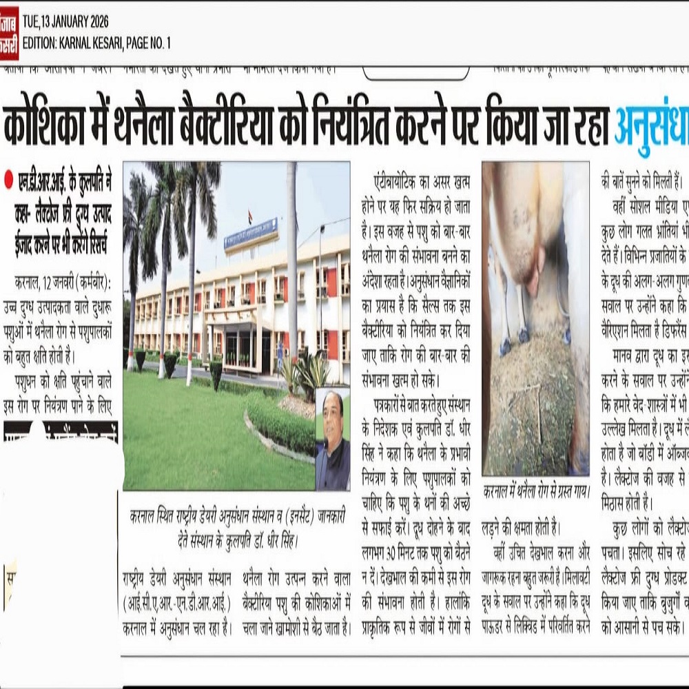 कोशिका में थनैला बैक्टीरिया को नियंत्रित करने पर किया जा रहा