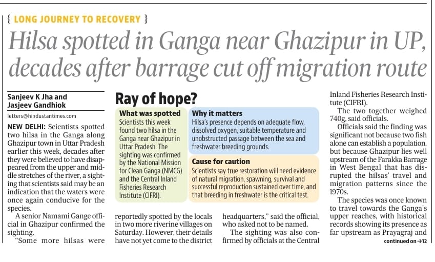 Hilsa spotted in Ganga near Ghazipur in UP, decades after barrage cut off migration route