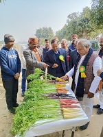 नरेंद्र-सिंह-तोमर-भ्रमण-05 (1).jpg 