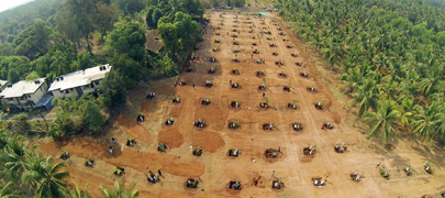 Arialviewof100planting-16032016.jpg