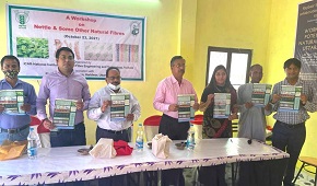 Awareness-workshop-01.jpg