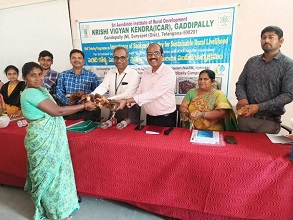 Backyard-poultry-KVK-Telangana-01