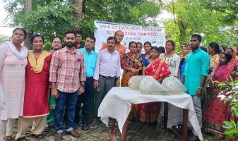 बंगाल कैट फिश (मिस्टस गुलियो) का होमस्टेड हैचरी आधारित बीज उत्पादन: पश्चिम बंगाल के सुंदरबन में भूमिहीन कृषि महिलाओं के लिए एक व्यवहार्य आजीविका मॉडल का आयोजन