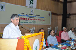 CISH-30-03-2013-4_1.jpg 