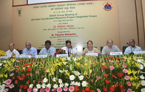 CPLJob16-31(12).jpg