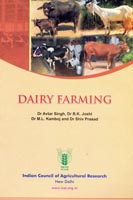 Dairy Farming