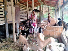 Doubling of Income through I.F.S. by a Tribal Women 02_0.jpg