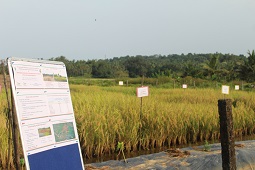 Field-Day-cum-Farmers-Scientists-Interaction-02.jpg