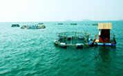 Fisheries-Milestone-18