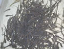 Fisheries-Milestone-8