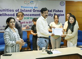 Hill-Farmers-Ornamental-fish-farming-CIFRI-01.jpg