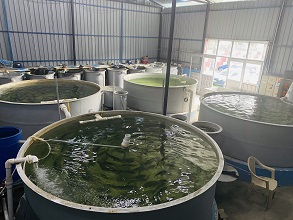 ICAR-DCFR-ecirculating-Aquaculture-Systems-Intensive-Farming-Fish-Fisheries-officers-Jammu-Kashmir