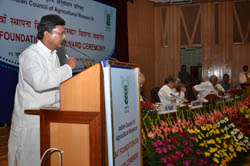 ICAR-foundation-day-16-07-2012-16