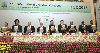 IGFC-2015-06.jpg