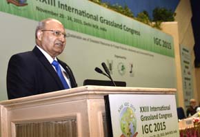 IGFC-2015-08.jpg