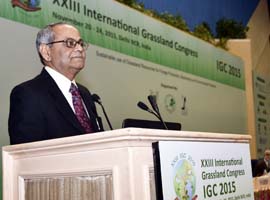IGFC-2015-09.jpg