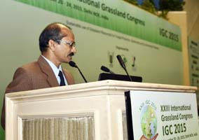 IGFC-2015-11.jpg