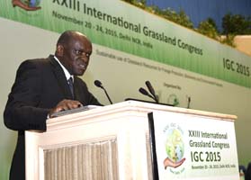 IGFC-2015-13.jpg