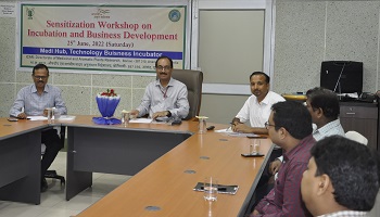 Incubation-Business-Development-01