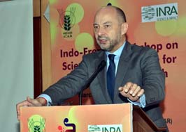 Indo-French-06.jpg