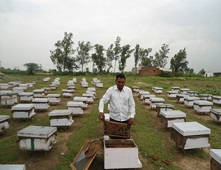 KVK, Lucknow under ICAR-IISR grooms a Marginal Land Holding Farmer to earn Crores from Beekeeping 03_0.jpg