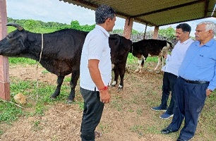 KVK Jodhpur-I’s interventions helped the farmers for better management of Lumpy Skin Disease (LSD) in dairy cattle