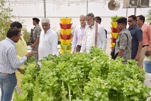 Millets-Fair-cum-Exhibition-Jodhpur-06_0.jpg