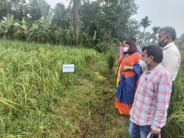 कृषि में महिला उद्यमिता को बढ़ावा देने के लिए संस्थागत तंत्र और तकनीकी बैकस्टेपिंग कार्यक्रम आयोजित