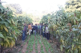 On-Farm Training-cum-Field Day Programme organized 04.jpg