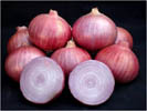 OnionBhimaShakti.jpg 
