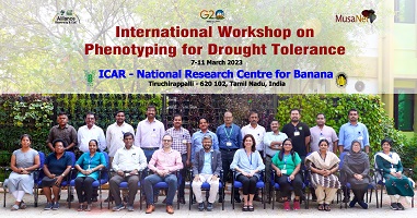 Phenotyping-drought-tolerance-03_0.jpg 
