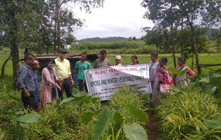 Plant Health Clinic on Horticultural Crops organized