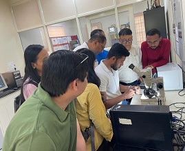 Production-protocol-biocontrol-agents-management-Fall-armyworm-01_0.jpg