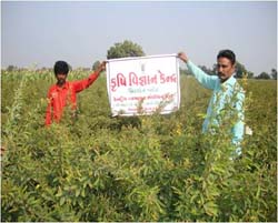 Prosperity-02-11122013