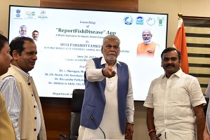 Report-Fish-Disease-Lucknow-03.jpg 