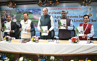 Resilience-Livelihood-Security-04