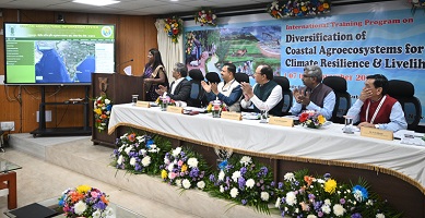 Resilience-Livelihood-Security-05