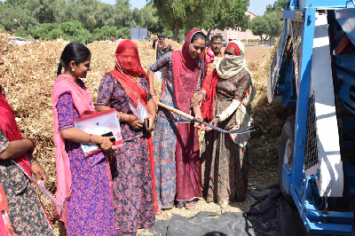 Moth Bean: A Promise of Livelihood Security and Self-Reliance in Pulses