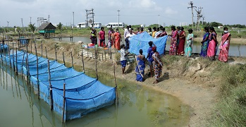 Skill-Development-Training-Programme-on-Nursery-Rearing-of-Hatchery-produced-01.jpg