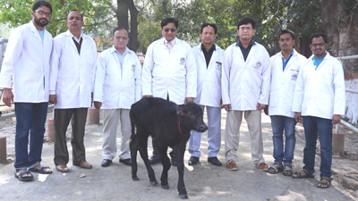 Team-Apurva-13.03.png