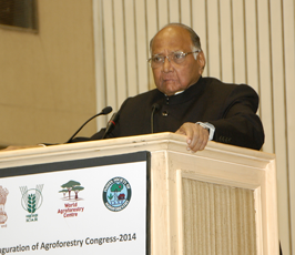 WCA-2014-12-s