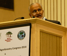 WCA-2014-2-s