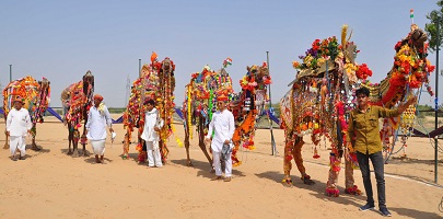 World-Camel-Day-celebrated-06.jpg