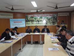camel-22-01-2014-3