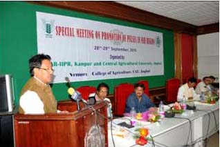 cauiipr-01-011002015.jpg