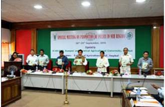 cauiipr-02-011002015.jpg