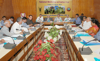 cazri-0125032014